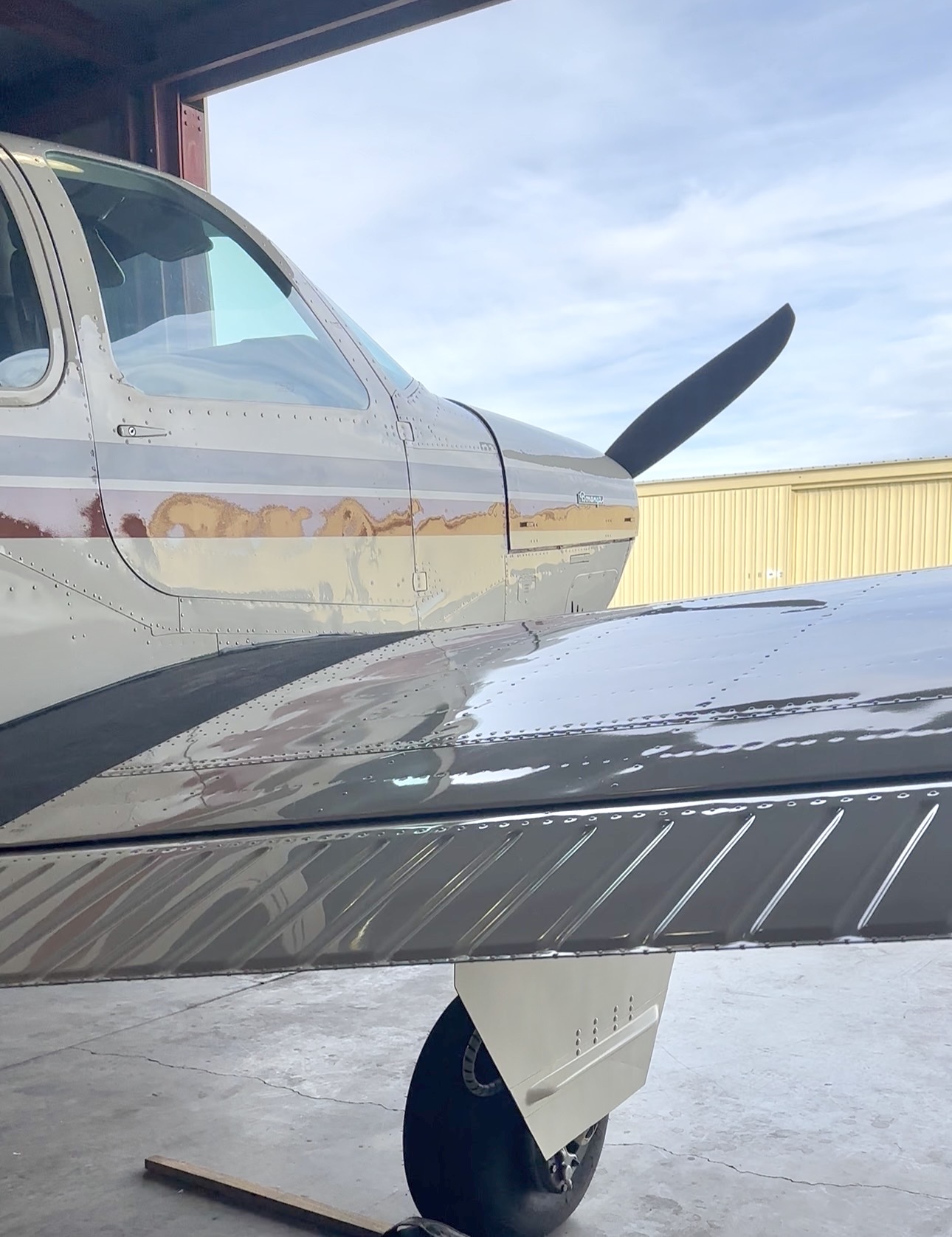 Beechcraft Bonanza detailing