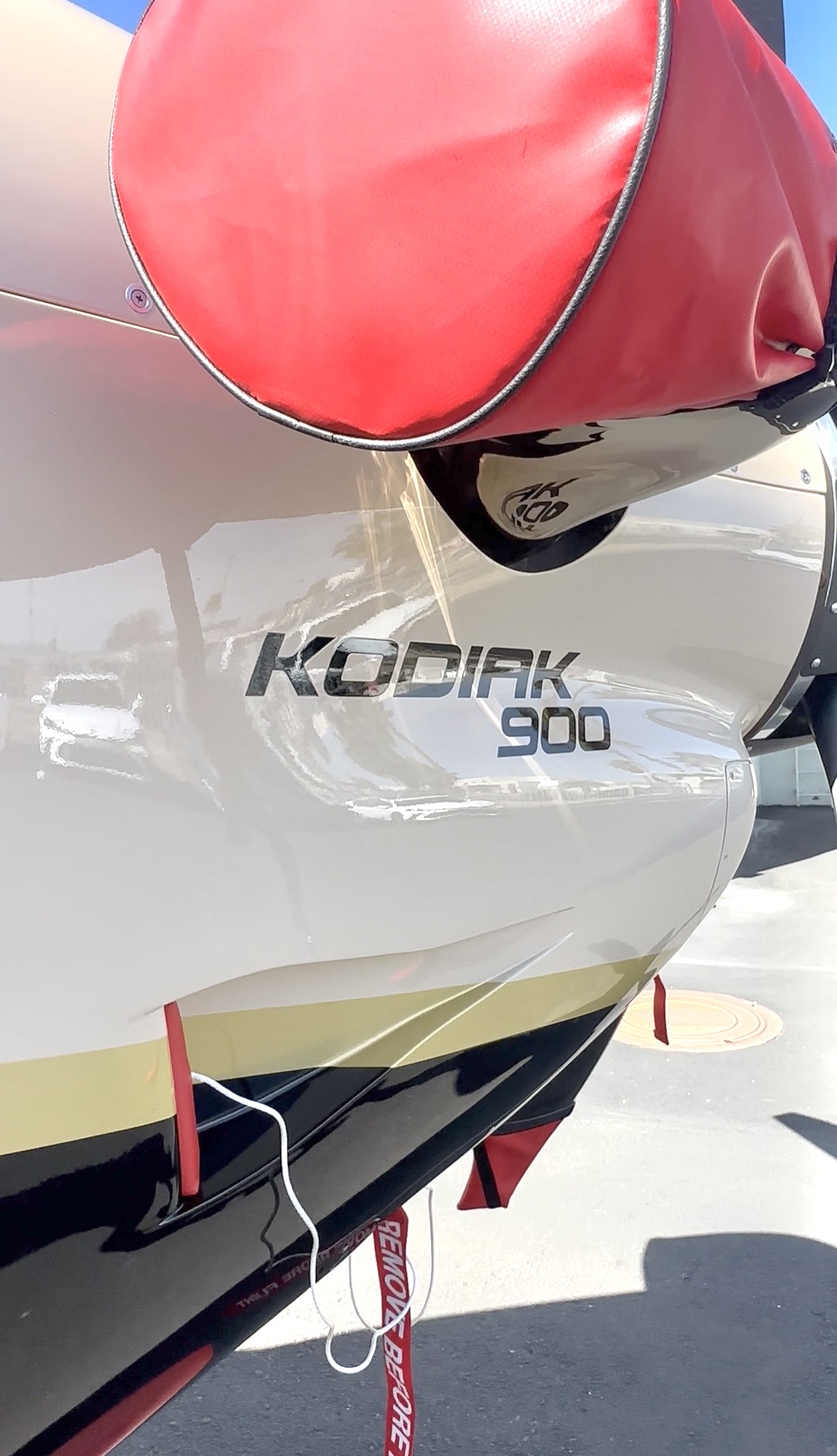 Daher Kodiak 900 detailing
